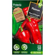 Poivron Doux d'Espagne