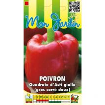 Poivron Quadrato d'asti Giallo ( poivron gros carré doux ) - 3g