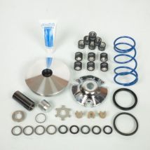 Polini Variator Für Roller Aprilia 50 Sr Neu