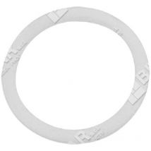 Polyethylendichtung für kompatible Bertolini Pumpen - 007696