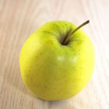Pommier Golden Delicious/Pot de 10L