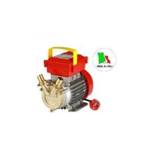 Rover Elettropompa Autoaspirante per Vino Latte Olio Bisquet in Acciaio Hp 0,6 BE-M25
