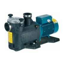 Pompa Per Piscina Calpeda Mpcm 51 Con Filtro Monofase 1,1kw Ad Alta Portata Per Il Ricircolo E La Filtrazione Dell'acqua