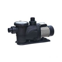 Pompe 600 w pour filtration