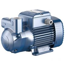 Pedrollo - CKm 50 Pompe de surface auto-amorçante a anneau liquide 0,37kW 0,5HP