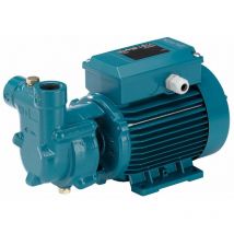Calpeda - Pompe Autoamorçante de surface avec anneau à eau pour présence dair ou de gaz dans l'eau à pomper CA90/A 0,55kW 400V