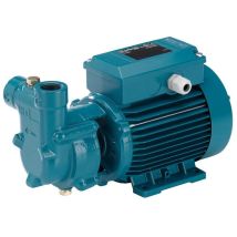 Calpeda - Pompe Autoamorçante De Surface Avec Anneau À Eau Pour Présence Dair Ou De Gaz Dans L'Eau À Pomper Ca90/a 0,55kw 400v