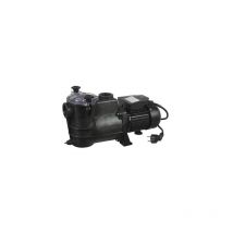 Pompe pour piscine 650 W 9600 litres heure 1,1 bars