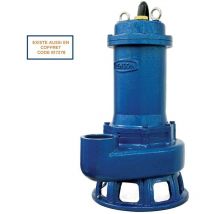 Pompe de relevage tri fonte roue monocanale 2,2KW DN65 Renson