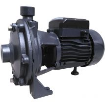 Bricoferr - Pompe à eau avec double turbine 1,5 ch 1100W