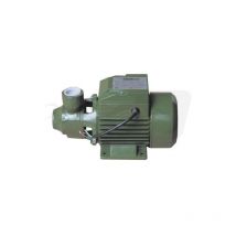 Dianhydro - Pompe a lectrique pA riphA rique en fonte 0,50 cv 30 litres eau propre