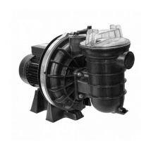 Pompe Pentair La Sta-Rite 0.75 cv - 12 m3/h Triphasée