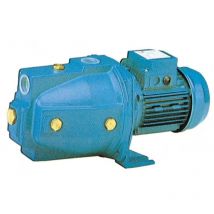 Pompe électrique auto-amorçante hp 0,75 jet mod.td/r80 - Salon