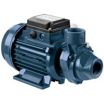 Ebara - pompe électrique périphérique en fonte modèle prn 0.50 m hp 0.5 monophasé