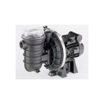 Pompe piscine 'Sta-rite' - Spéciale eau salée - 1 cv triphasé