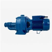 Pentax Pump - Pompe Serie Jet 230v 1.65kw/2.2cv