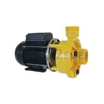 Waterway - Pompe Iron Might pour spa
