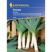 Porree Blaugrüner Winter Forrest Agrostemma githago, Inhalt 100 Korn Gemüsesamen - Kiepenkerl