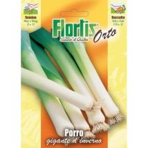 Porro Gigante D'Inverno – 4355290 – Semi di ortaggi – Giardino e piscine