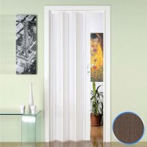 Forte - Porte pliante accordéon intérieur en pvc 88,5x214 cm mod. Luciana couleur chêne tourterelle