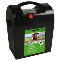 Poste pile classic P180 Beaumont