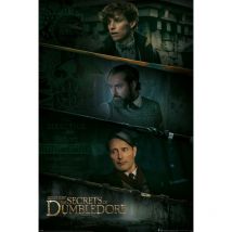 International Fantastic Beasts - Póster de tres paredes de Mikkelsen Jude Law - Pyramid