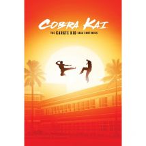 Poster cobra kai the karate kid saga continues
