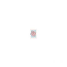 Poster d'Art - Fleur De Cendrillon Rose - 40x50 cm