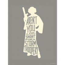 Poster d'Art Star Wars Silhouette Princesse Leia et Citations - 30 x 40 cm