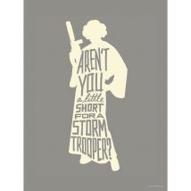 Poster d'Art Star Wars Silhouette Princesse Leia et Citations - 40 x 50 cm