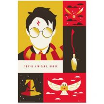 Poster harry potter 100° anniversario wb