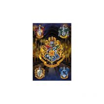 Poster harry potter hogwarts shields