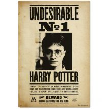 Poster harry potter indésirable n1