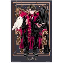 Grupo Erik - Poster Harry Potter Wizard Dynasty Harry Potter - Laminas decorativas 61x91,5cm a todo color Posters para pared ideal decoración