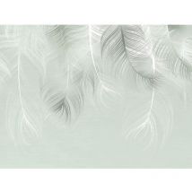 Poster Thème Rêve de Plumes -Feather Dream-- 360 x 270 cm