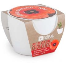 Pot de culture en céramique - Coquelicot - 8 cm