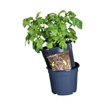 Pot de culture Pommes de terre 30 cm