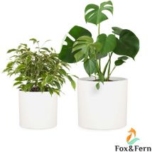 Blumfeldt - Pot de fleurs Gendt cache-pot lot de 2 tailles l/xl ciment fibre de verre intérieur / extérieur