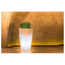 Monacis - Pot lumineux carré mod. Agave 33x33 cm h 70 avec led Multicolor avec Batterie
