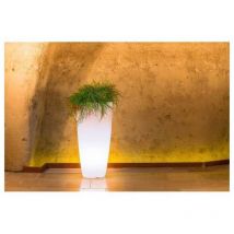Monacis - Pot lumineux rond mod. Agave H70 avec led Multicolor avec Batterie