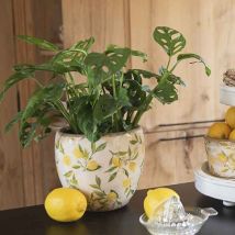 La Grande Prairie - Pot De Fleurs Lemon Jaune Céramique 13x13x12cm
