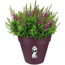 Elho Maceta para flores redonda para plantas para interiores y exteriores color Mora 3 Liter (de)