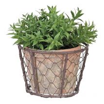 Cache pot métal et pot en terre cuite