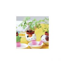 Pot Fraise des bois Peropon Chat