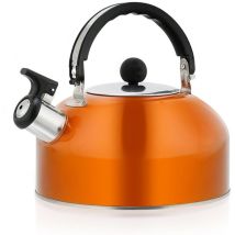 Pot Mini Chauffe- Thé En Acier Inoxydable Bouilloire Mini Poêle Métal D'Eau Bouillante Moderne Bouilloire Sifflement Thé Bouilloire Bouillie Sifflet,