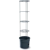 Jardinière De Tomates Prosperplast Jardinière De Tomates En Plastique De Couleur Anthracite 29,5 (l) X 29,5 (l) X 23,6-115,2 (h) Cm - Anthracite