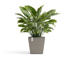 Pot Square Rotterdam 45 Taupe + serbatoio acqua - 45,4 x 45,4 x h. 44 cm - 63,5 l Ecopots
