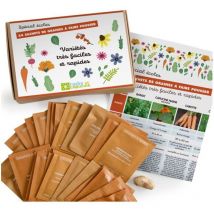 Potager d'une classe - 24 graines de légumes, aromates et fleurs