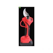 Potatore BlumenGarten 21V 2,0Ah 2 Batterie e Caricatore