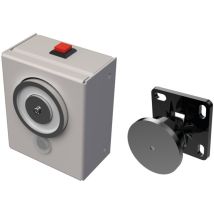 Sewosy – Ventouse De Maintien 24v Dc Murale – Force De Retenue 50 Dan – Système De Déclenchement Automatique – Vmpo245m